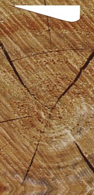 Sacchetto Tissue 190X85 Wood [100 ks]_1