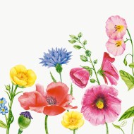 DUNI Servítka bio dsf 40 × 40 cm flowy meadow [60 ks]_1