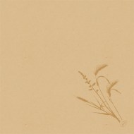 DUNI Servítka bio dsf 40 × 40 cm meadow natura [60 ks]_1