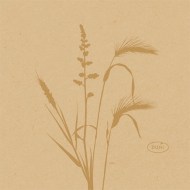 DUNI Servítka bio dsf 20 × 20 cm meadow natura [180 ks]_1