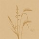 DUNI Servítka bio dsf 20 × 20 cm meadow natura [180 ks]_1