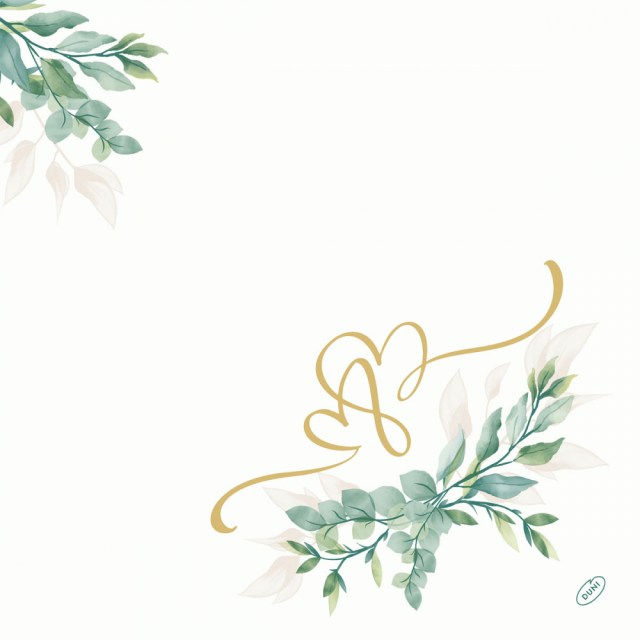 Obrúsky D-Soft 40X40Cm Love [60 ks]- new DU206369_1