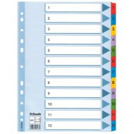 Kartónový rozraďovač Esselte Mylar 1-12_1