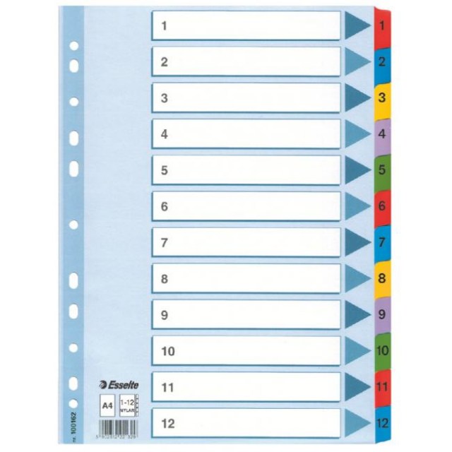 Kartónový rozraďovač Esselte Mylar 1-12_1