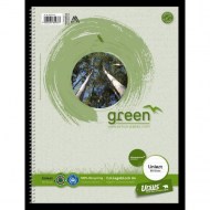 Blok College Format Werk Ursus Green A4 80 listov linajkový 60g recyklovaný_1