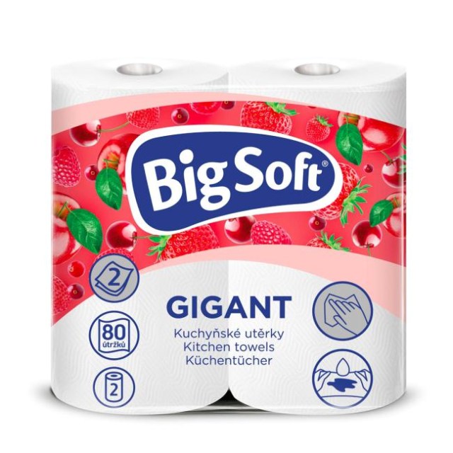 Kuchynské utierky 2-vrstvové Big Soft Gigant 2ks, 16,4m_1