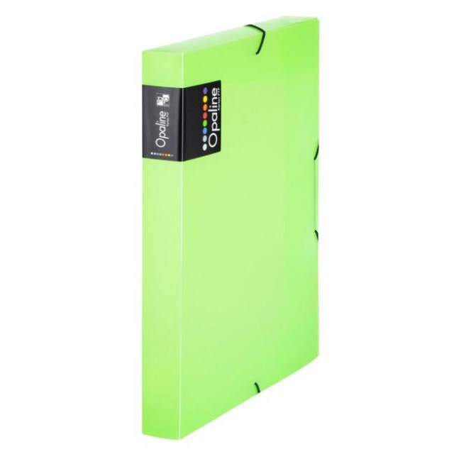 Plastový box s gumičkou Karton PP Opaline zelený_1