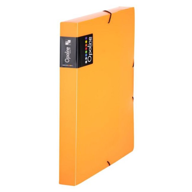 Plastový box s gumičkou Karton PP Opaline oranžový_1