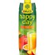 Džús Happy Day Mango 26% 1l_1