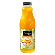 Džús Cappy Z Multivitamín 50% 1l_1