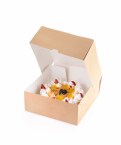 Eco cake krabička na zákusky  255x255x105mm 6000ml (15ks)_1
